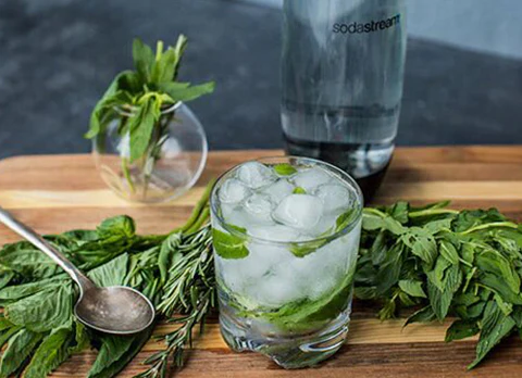 Herb Infused Sparkling Water