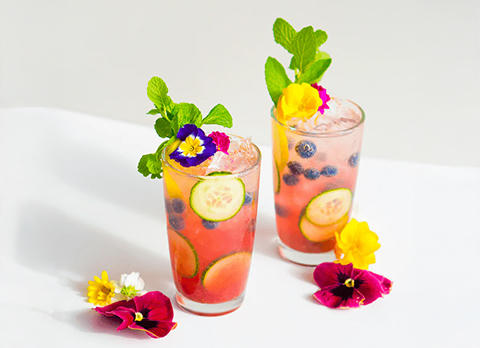 Sparkling Blueberry Mojito